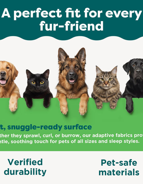 Load image into Gallery viewer, Cat Scratchers with Catnip - Tiger Tough Multi-Level Cat House Scratcher Playgrounds, Classic Reversible Scratching Board, Interactive Busy Box Toy Scratcher, and More
