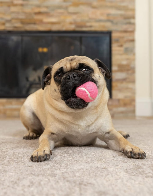 Load image into Gallery viewer, MINI Tennis Balls for Dogs (Pet Safe Dog Ball Dog Tennis Balls for Exercise &amp; Training) Dog Ball Interactive Dog Toys Work with  K9 Kannon MINI Dog Ball Launcher - 4 Pack MINI Pink
