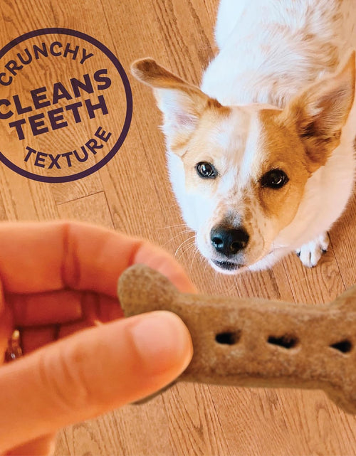Load image into Gallery viewer, by Wellness Classic P-Nuttier Value Box Natural Dog Treats, Crunchy Oven-Baked Biscuits, Ideal for Training, Large Size, 6 Pound Box

